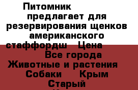 Питомник KURAT GRAD предлагает для резервирования щенков американского стаффордш › Цена ­ 25 000 - Все города Животные и растения » Собаки   . Крым,Старый Крым